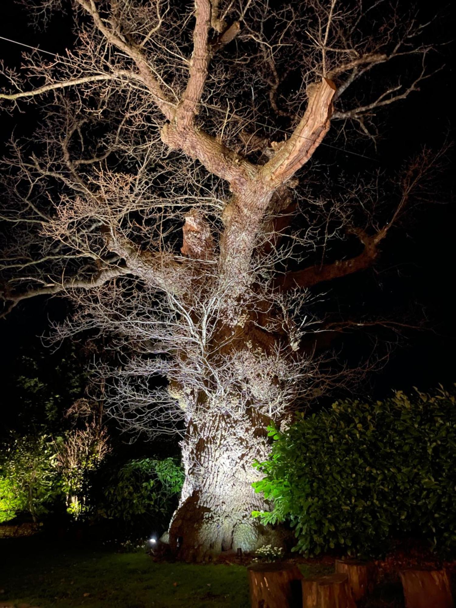 Oak Tree Hideaway Villa Whitchurch  Bagian luar foto